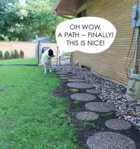 dog paths
