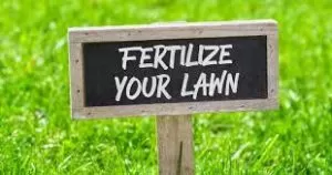 fertilize grass in fall